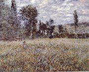 Claude Monet A Meadow France oil painting artist